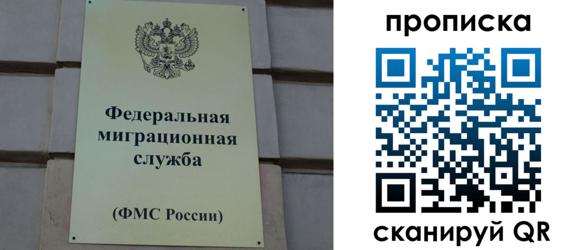 прописка поиск в Новошахтинске
